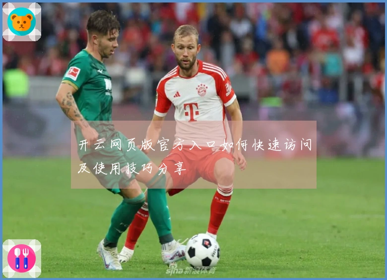 开云网页版官方入口如何快速访问及使用技巧分享