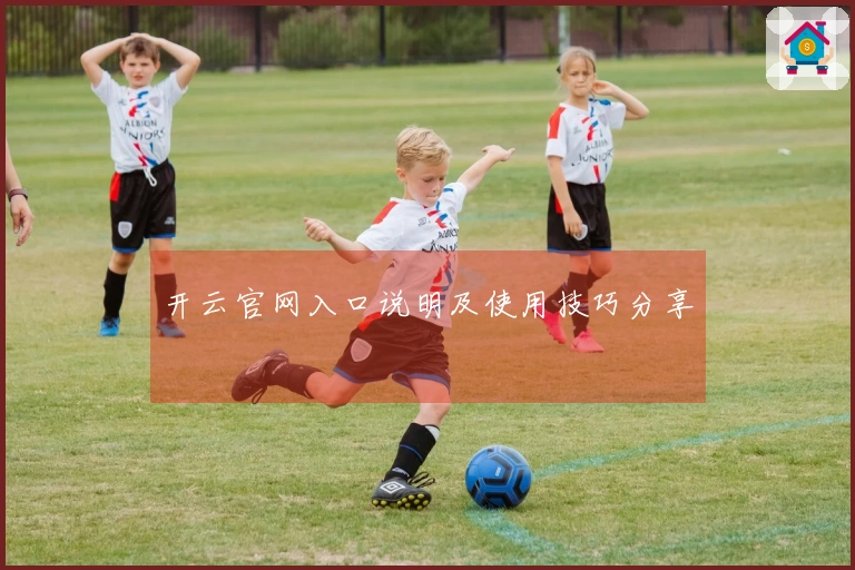 开云官网入口说明及使用技巧分享